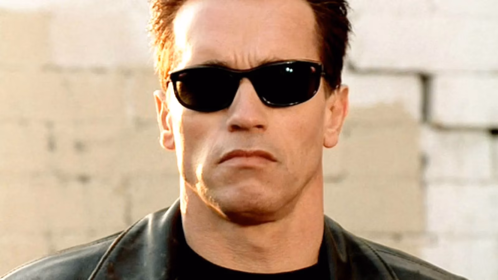 terminator-7-without-arnold-schwarzenegger-james-cameron-confirms-bold-new-direction-image-0